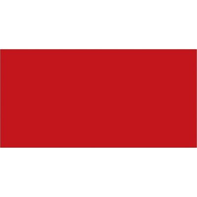 3 x 6" Red Inventory Rectangle Labels