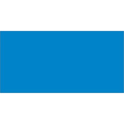3 x 6" Light Blue Inventory Rectangle Labels
