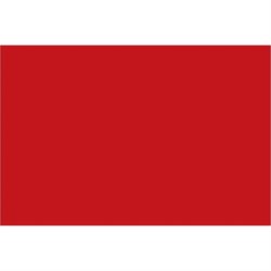 4 x 6" Red Inventory Rectangle Labels