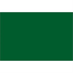 4 x 6" Green Inventory Rectangle Labels