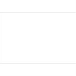 4 x 6" White Inventory Rectangle Labels