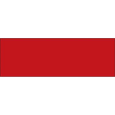 3 x 9" Red Inventory Rectangle Labels