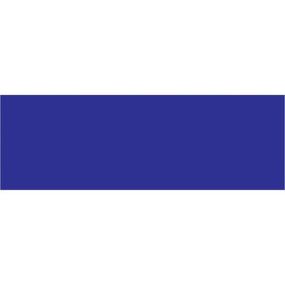 3 x 9" Dark Blue Inventory Rectangle Labels