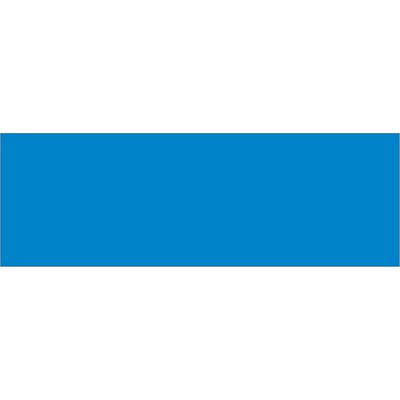 3 x 9" Light Blue Inventory Rectangle Labels