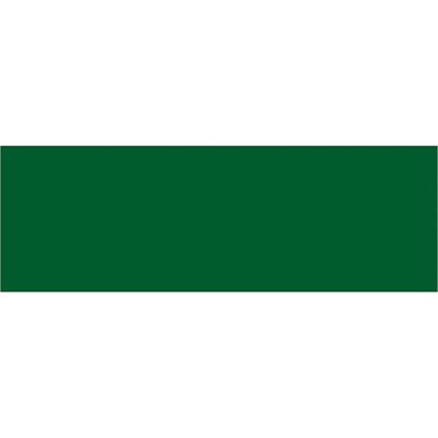 3 x 9" Green Inventory Rectangle Labels