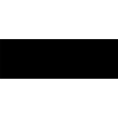 3 x 9" Black Inventory Rectangle Labels