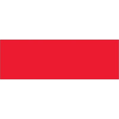3 x 9" Fluorescent Red Inventory Rectangle Labels