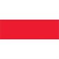 3 x 9" Fluorescent Red Inventory Rectangle Labels