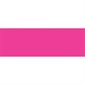 3 x 9" Fluorescent Pink Inventory Rectangle Labels