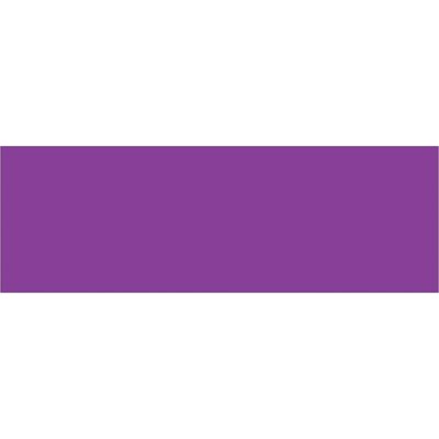 3 x 9" Purple Inventory Rectangle Labels