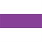 3 x 9" Purple Inventory Rectangle Labels