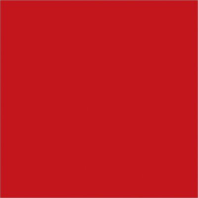 4 x 4" Red Inventory Rectangle Labels