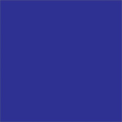 4 x 4" Dark Blue Inventory Rectangle Labels