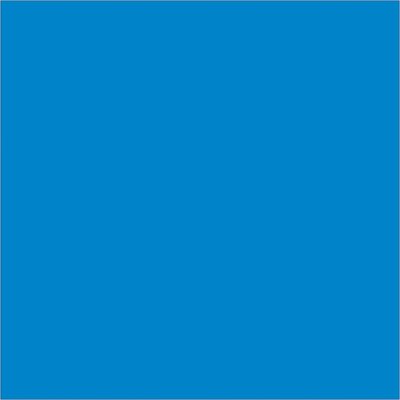 4 x 4" Light Blue Inventory Rectangle Labels
