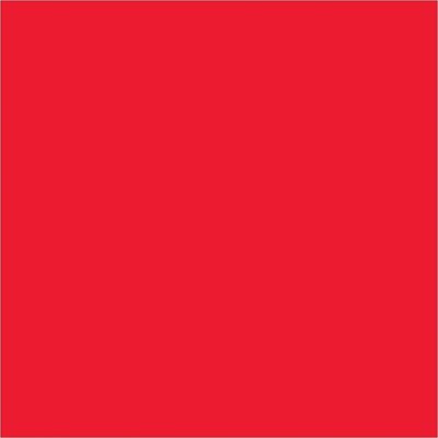 4 x 4" Fluorescent Red Inventory Rectangle Labels