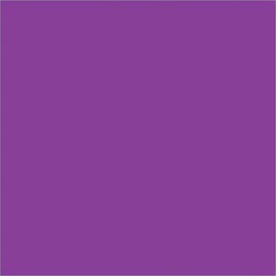 4 x 4" Purple Inventory Rectangle Labels