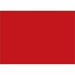 5 x 7" Red Inventory Rectangle Labels