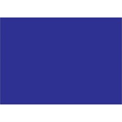 5 x 7" Dark Blue Inventory Rectangle Labels