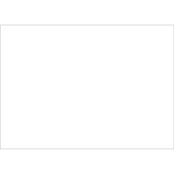 5 x 7" White Inventory Rectangle Labels