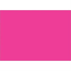 5 x 7" Fluorescent Pink Inventory Rectangle Labels